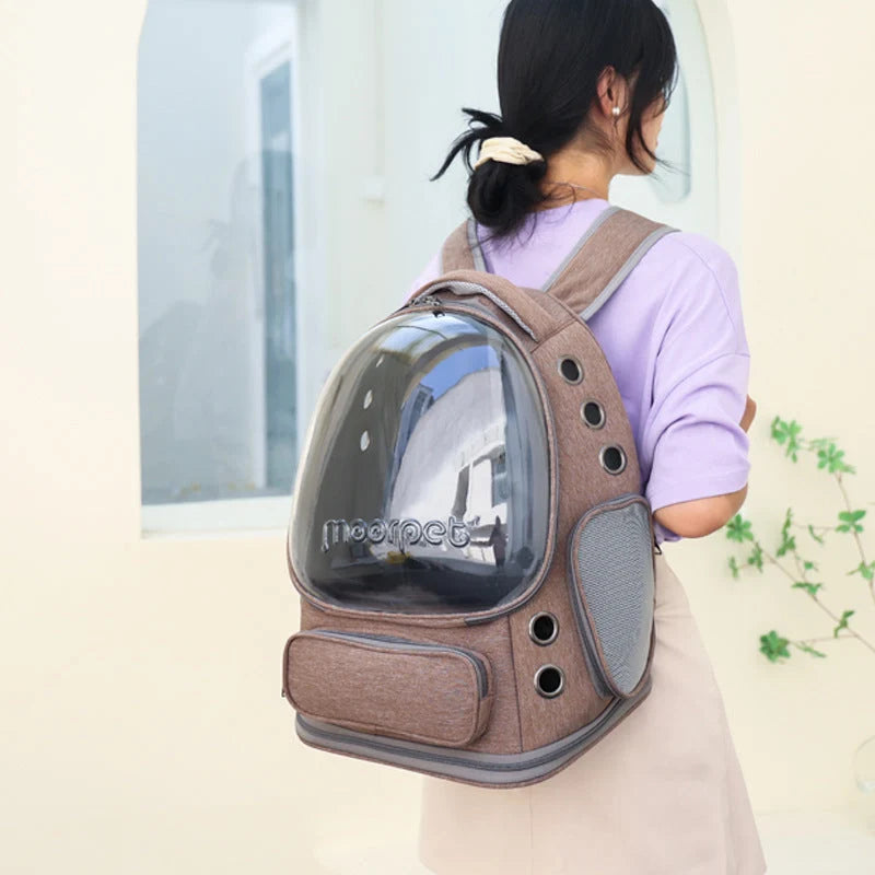 Spacious Pet Carrier with Ventilation System & Water Resistant Design(Black)