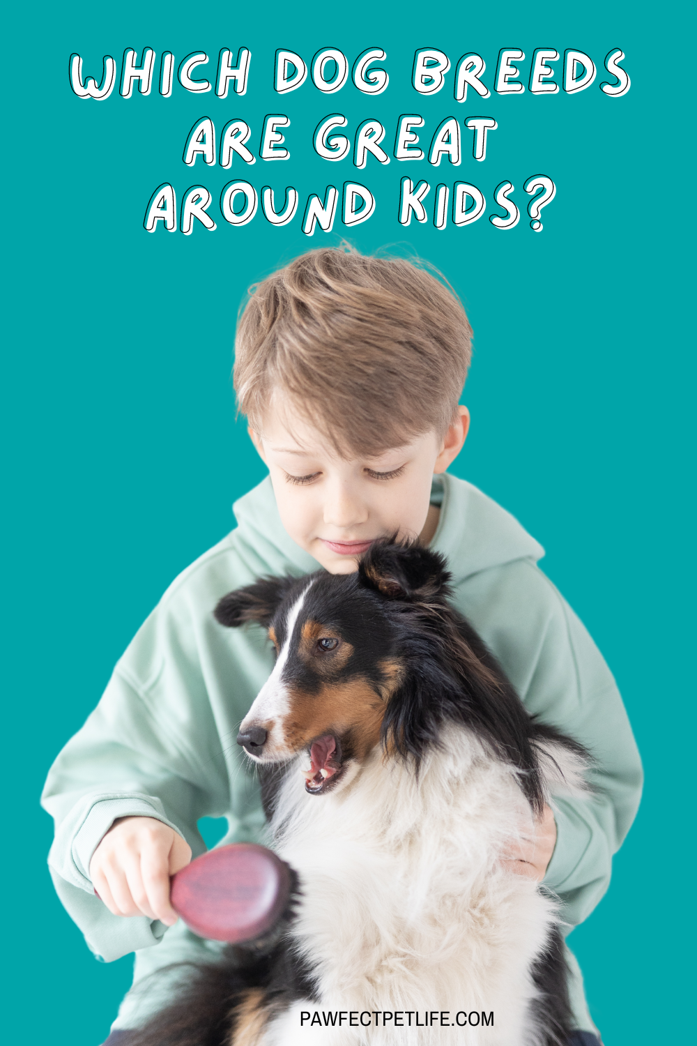 Find the perfect dog for your family with our top picks of breeds that are great with young children. These gentle and playful pups will bring joy to your home! 🐾❤️ #FamilyDogs #DogLovers #PuppyPals