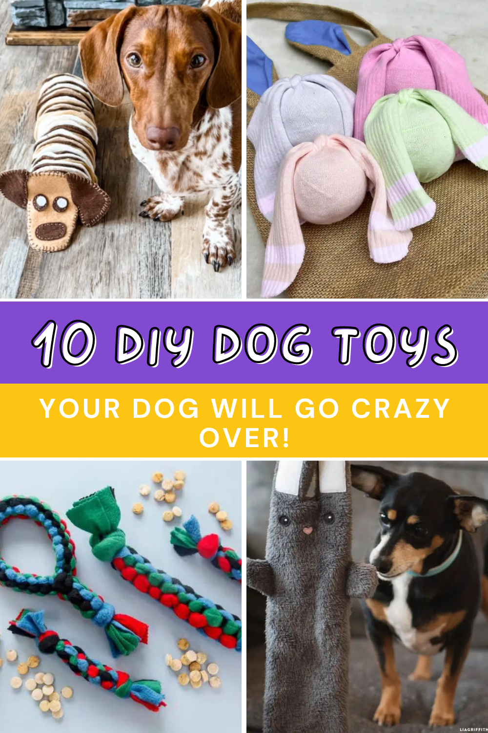 Looking for fun and budget-friendly ways to spoil your pup? 🐾 Check out these 10 simple DIY dog toys you can make at home using everyday items! 🛠️ Your furry friend will love these creative toys, and you'll have a blast making them! 🐕❤️ #DogLovers #DIYDogToys #PetCrafts




