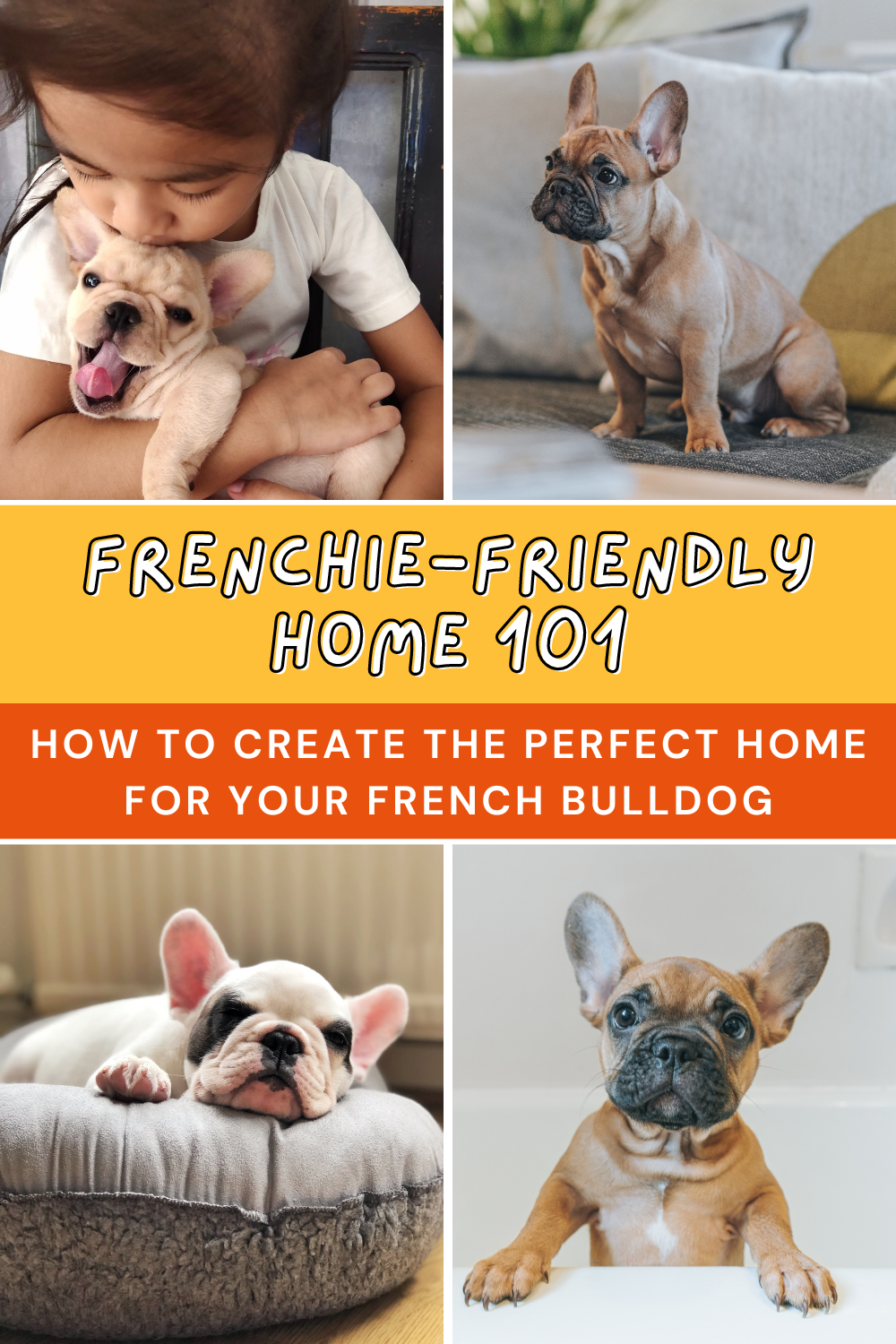 Transform your space into a French Bulldog paradise! Discover tips for safety, health, and happiness. 🏠❤️ Click to read the full guide! 👉

