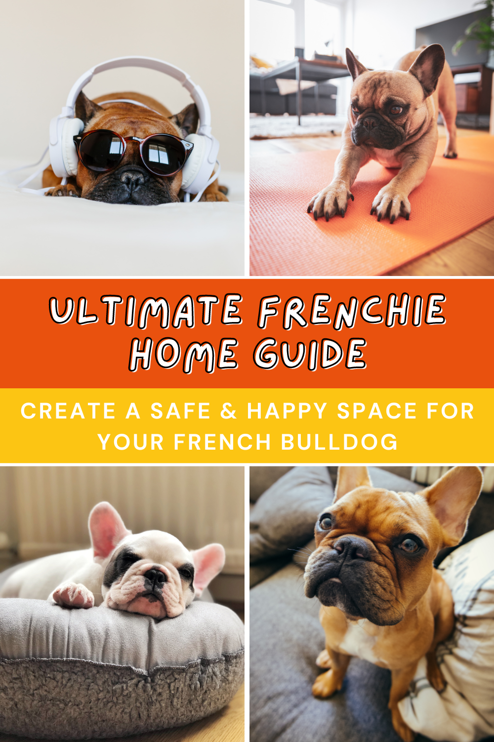 Want a happy and safe French Bulldog? Learn how to create the ideal environment for your furry friend. 🐶💕 Click to explore! 📖

