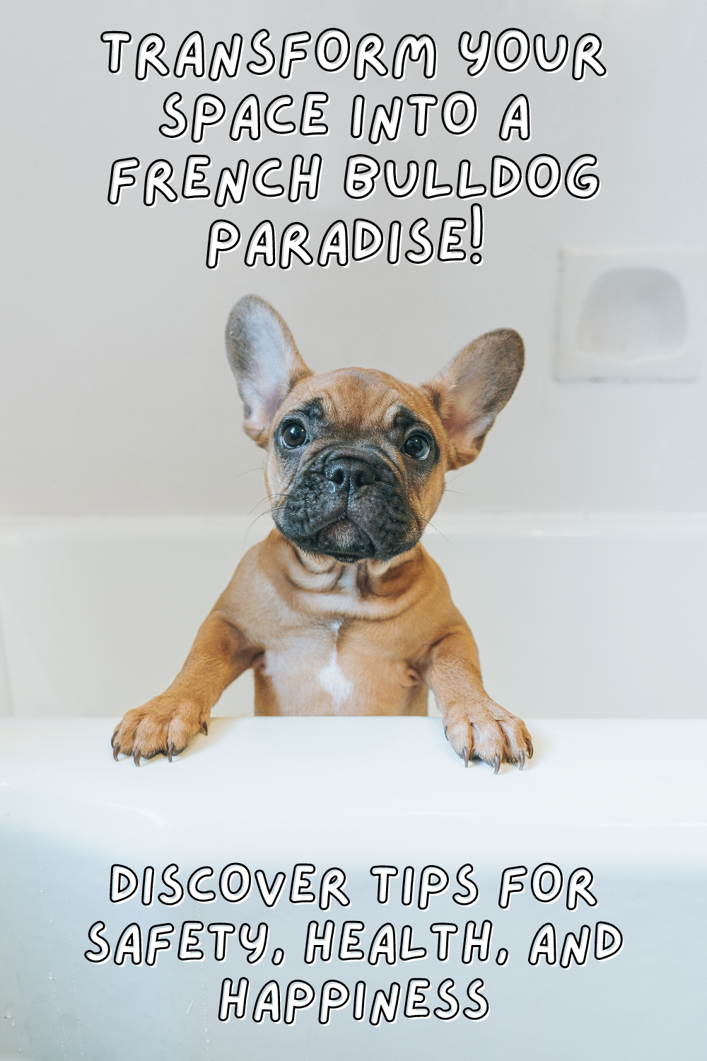 Make your French Bulldog feel at home with these expert tips! Discover how to keep them healthy and happy. ❤️🐶 Click to read the full post! 👉

