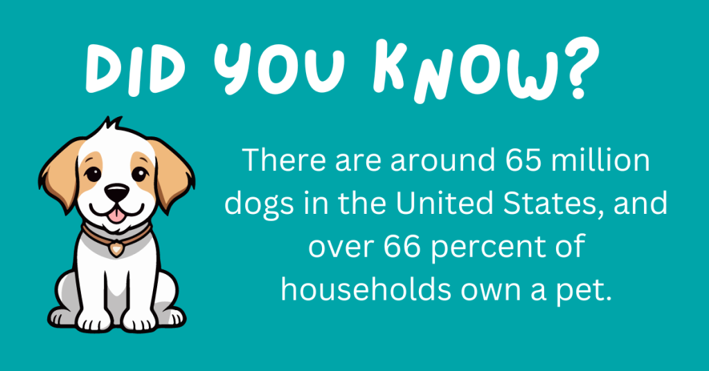 Attention, dog enthusiasts! 🐾 Uncover some amazing facts about our beloved canine companions. From quirky habits to surprising traits, these 15 fun dog facts will make you appreciate your furry friend even more. 🐾🐶 Ready for a tail-wagging adventure? #Dogs #Trivia

