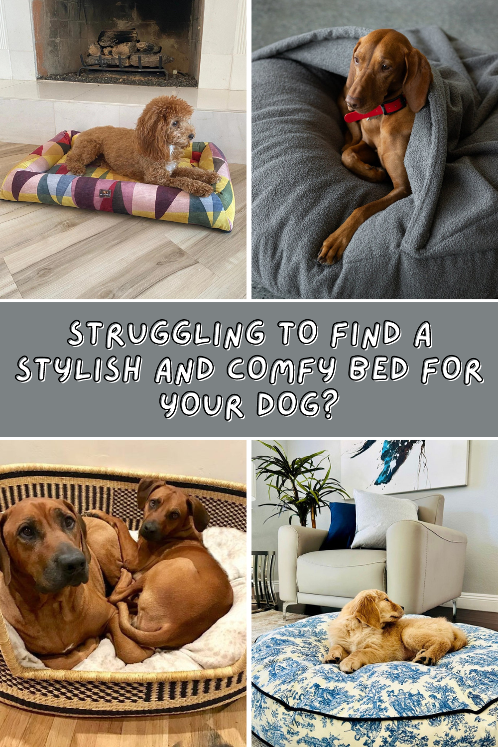 Tired of your pup hogging the couch? 🛋️ Discover cozy dog beds that keep your dog comfy and your furniture fur-free! 🐾✨ Check out our latest post for the best picks! 👉 