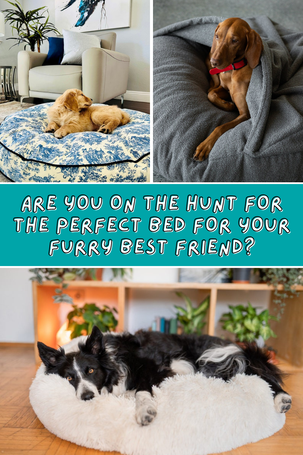 Is your dog always restless at night? 🌙 Give them the gift of perfect sleep with our top-rated dog beds! 🛏️❤️ See the full collection in our new post! 👉