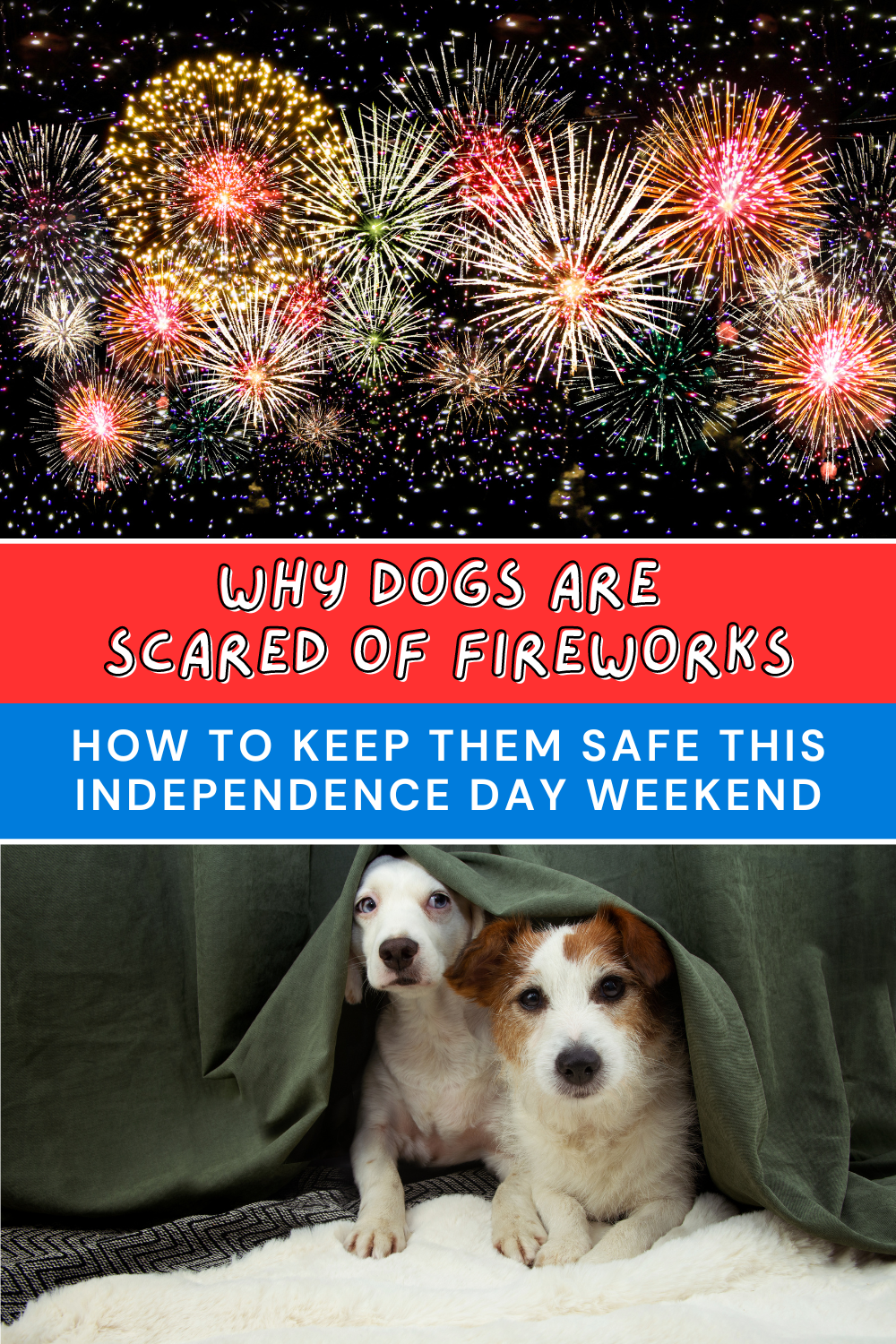 Worried about your dog being scared during Independence Day celebrations? 🌟 Follow these tips to keep your pup relaxed and safe during the fireworks! From preparation strategies to comfort techniques, we’ve got you covered. #IndependenceDay #4thofJuly #PetCare #FireworksFear

