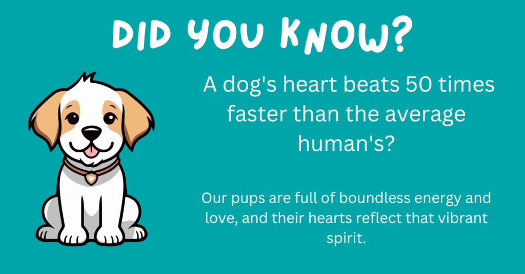 Attention, dog enthusiasts! 🐾 Uncover some amazing facts about our beloved canine companions. From quirky habits to surprising traits, these 15 fun dog facts will make you appreciate your furry friend even more. 🐾🐶 Ready for a tail-wagging adventure? #Dogs #Trivia