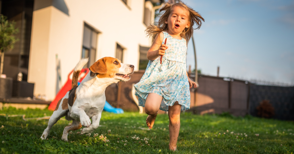 🐶 Ready to turn your backyard into a canine paradise? 🌳 Discover how to create a safe, fun, and stimulating space for your furry friend to play, explore, and relax. 🐕‍🦺 Grab your gardening gloves and let’s get started! #DogFriendly #BackyardGoals #Pawsome