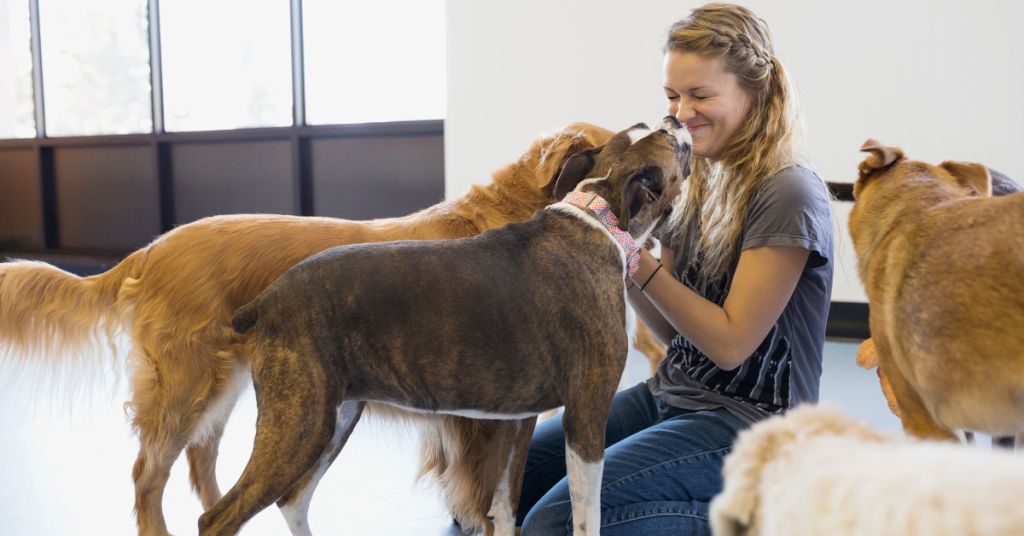 Is Doggy Daycare Right for Your Furry Friend? Find Out Now!