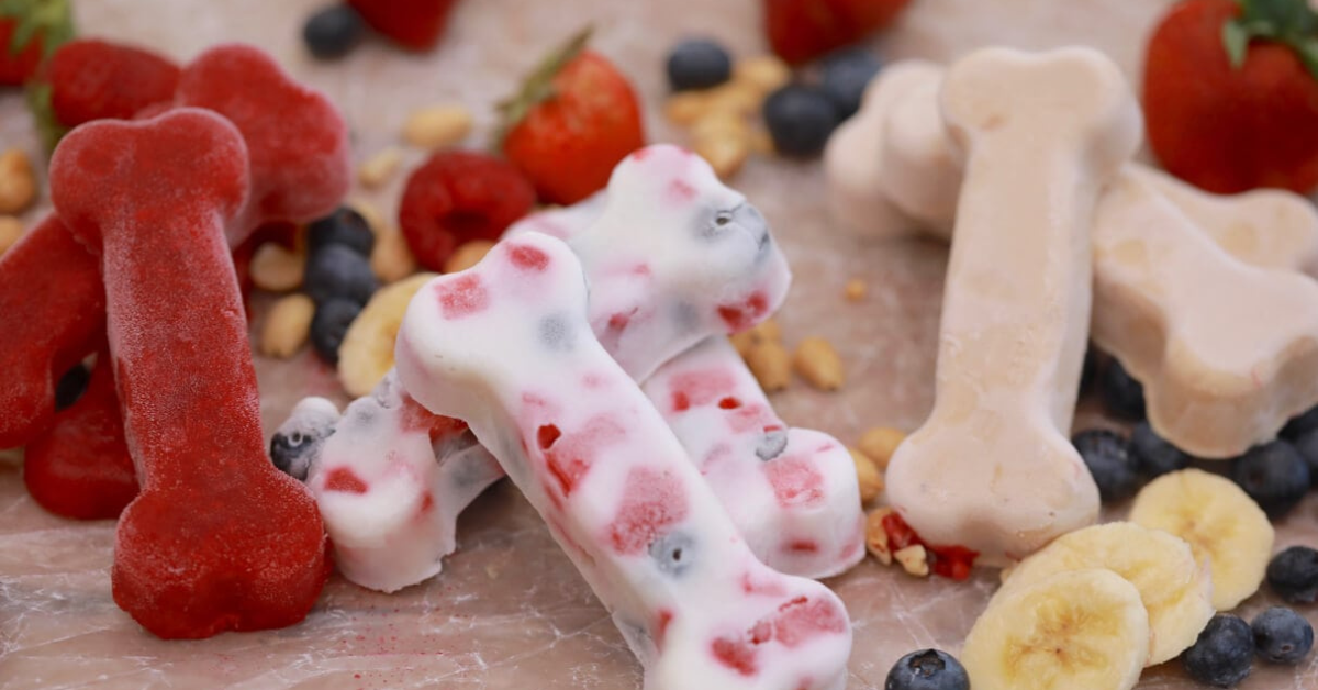 Pamper your pup with these healthy no-bake treats made from simple ingredients! Click now to explore easy recipes that will keep your furry friend happy and healthy! 🐾🍪 #HomemadeDogTreats