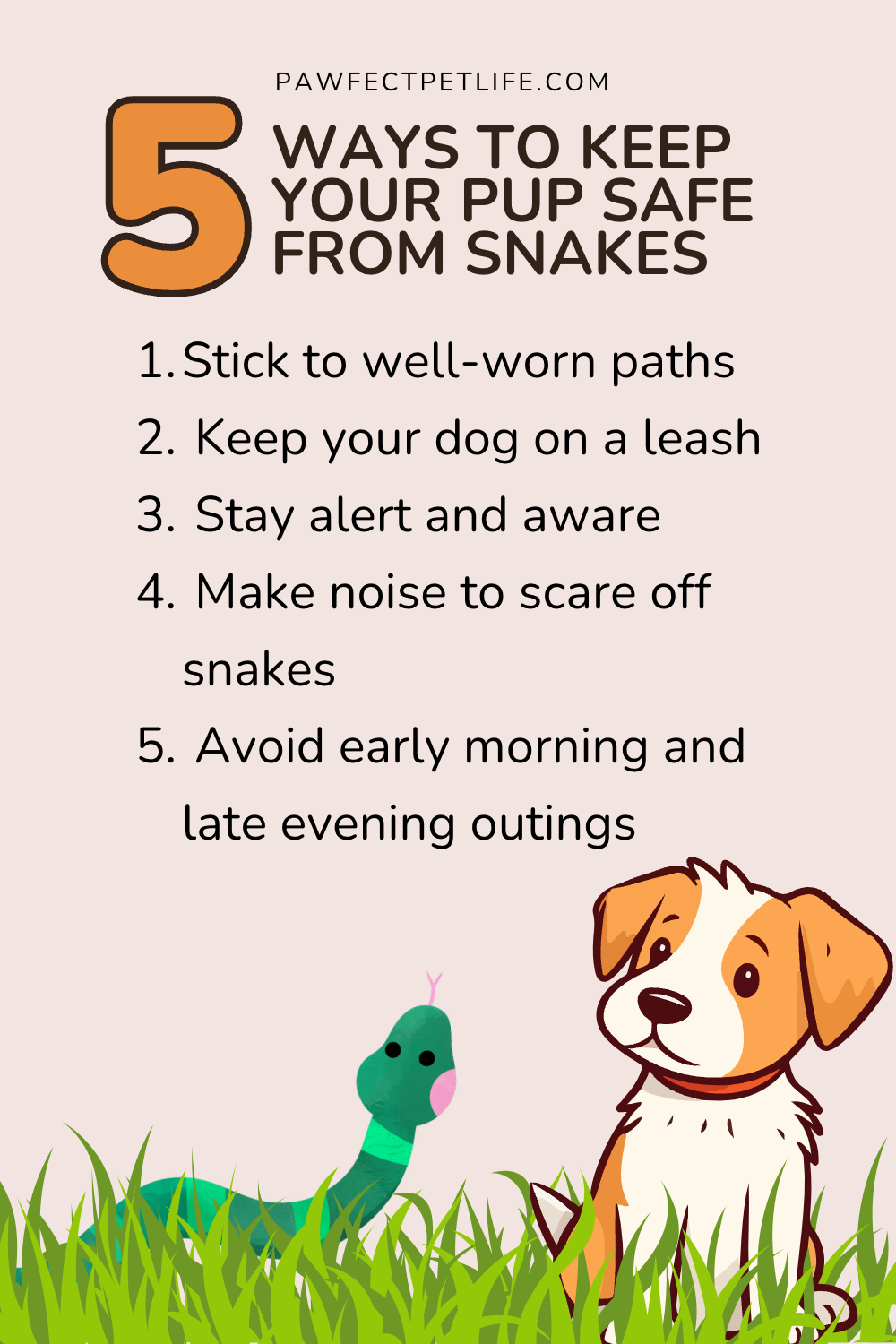 Keep your dog safe from snakebites with our essential guide! Find out the 10 signs your dog may have been bitten, how to act fast if it happens, and top tips to snake-proof your yard. 🐍🏞️ Click now to protect your pup! 🐾❤️ #PetSafety #SnakeProtection