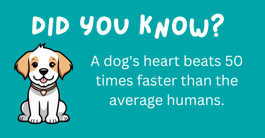 Hey there, dog fans! 🐶 Think you know your pooch? Get ready to be surprised! We've rounded up 15 incredible dog facts that will blow your mind. 🐾 Curl up with your pup and explore these delightful tidbits! #DogLovers #FunFacts