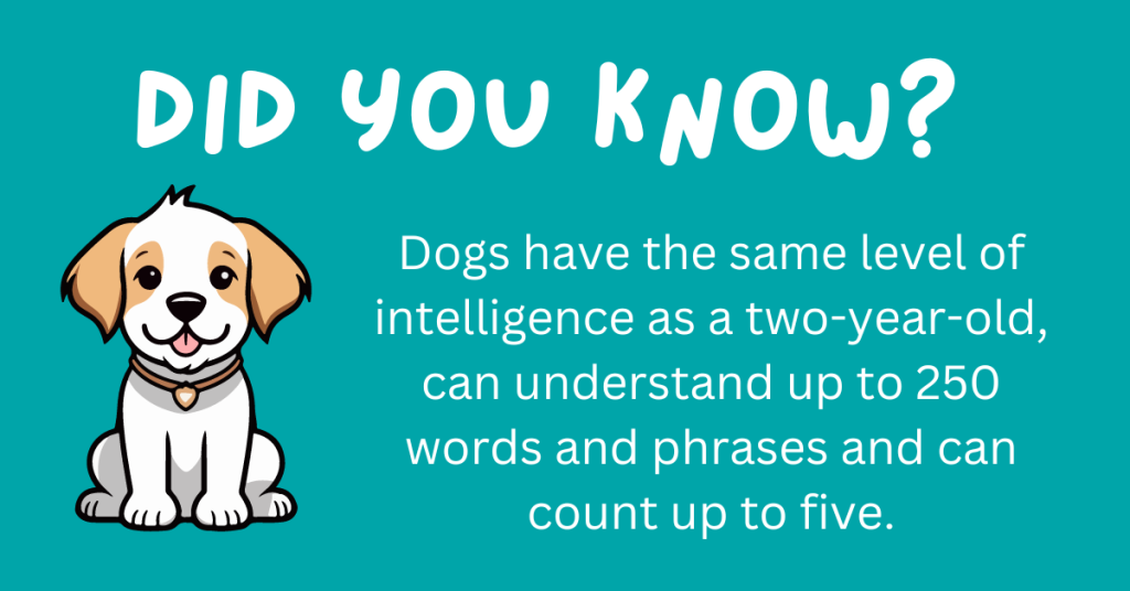 Hey there, dog fans! 🐶 Think you know your pooch? Get ready to be surprised! We've rounded up 15 incredible dog facts that will blow your mind. 🐾 Curl up with your pup and explore these delightful tidbits! #DogLovers #FunFacts

