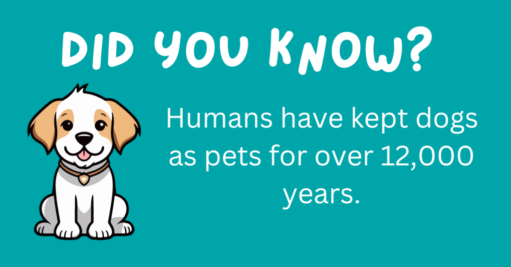 Hey there, dog fans! 🐶 Think you know your pooch? Get ready to be surprised! We've rounded up 15 incredible dog facts that will blow your mind. 🐾 Curl up with your pup and explore these delightful tidbits! #DogLovers #FunFacts