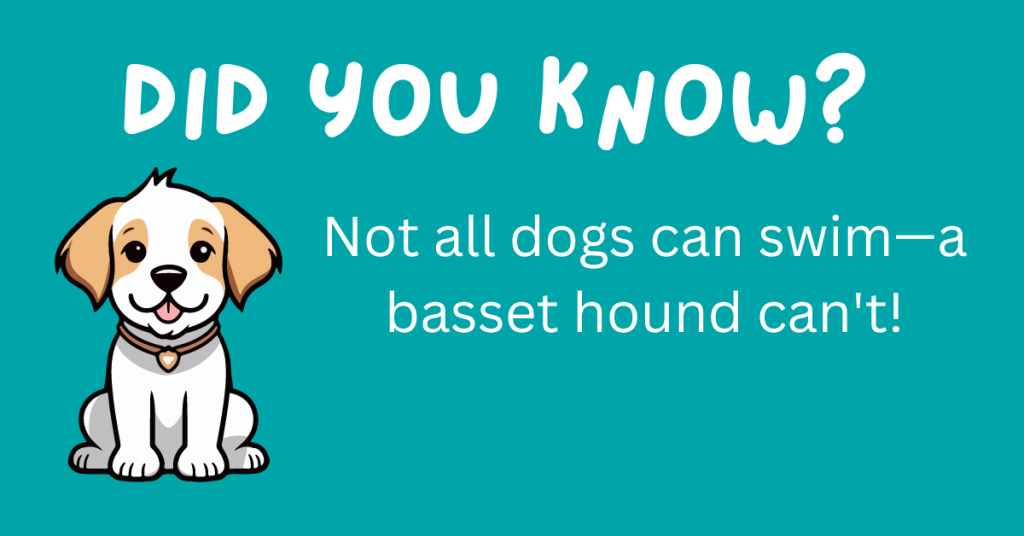 Hey there, dog fans! 🐶 Think you know your pooch? Get ready to be surprised! We've rounded up 15 incredible dog facts that will blow your mind. 🐾 Curl up with your pup and explore these delightful tidbits! #DogLovers #FunFacts