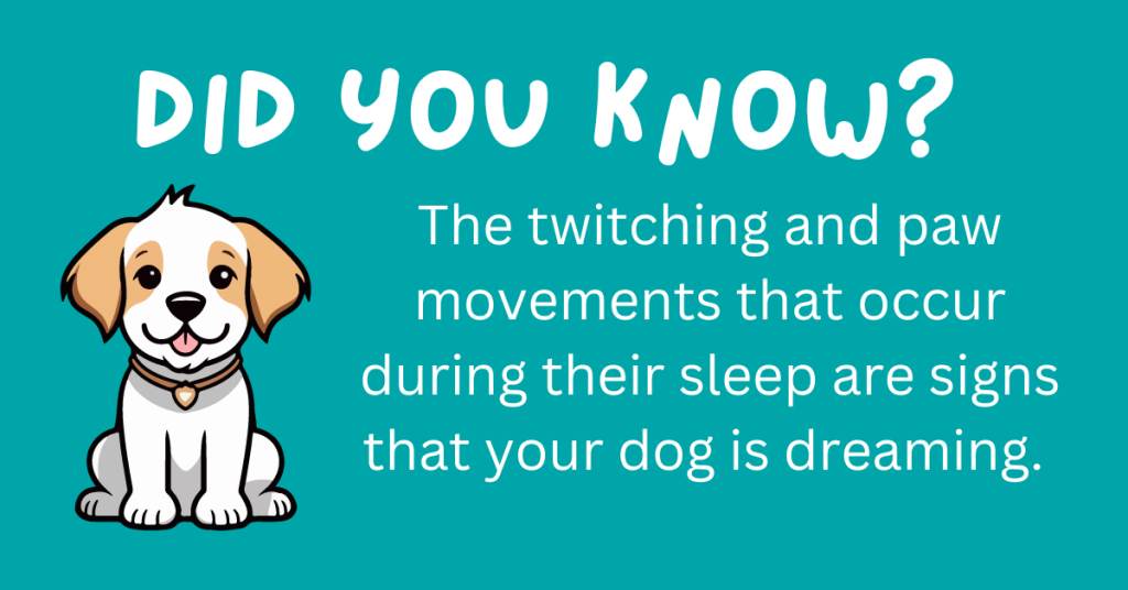 Attention, dog enthusiasts! 🐾 Uncover some amazing facts about our beloved canine companions. From quirky habits to surprising traits, these 15 fun dog facts will make you appreciate your furry friend even more. 🐾🐶 Ready for a tail-wagging adventure? #Dogs #Trivia

