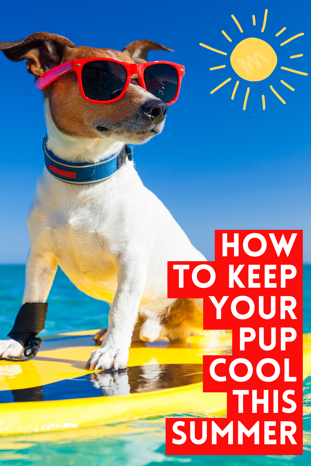 ☀️🐶 Summer's here and it's getting hot! Keep your furry friend cool and safe with these easy tips!