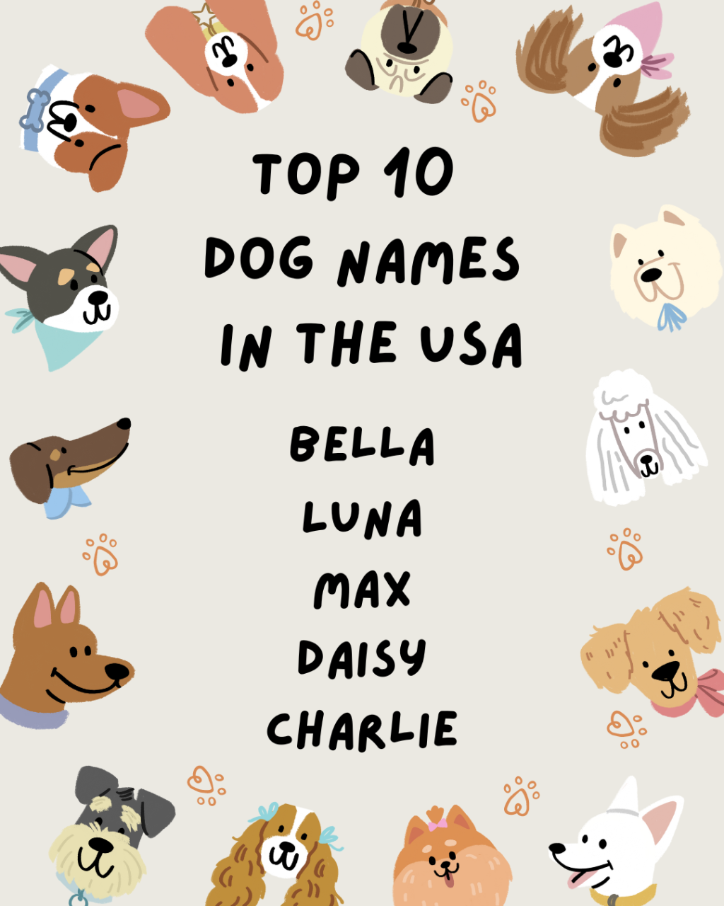 Your pup's name could be one of the most popular in the nation! 🐾❤️ Check out the latest trends and see where your furry friend stands! 📊🐕