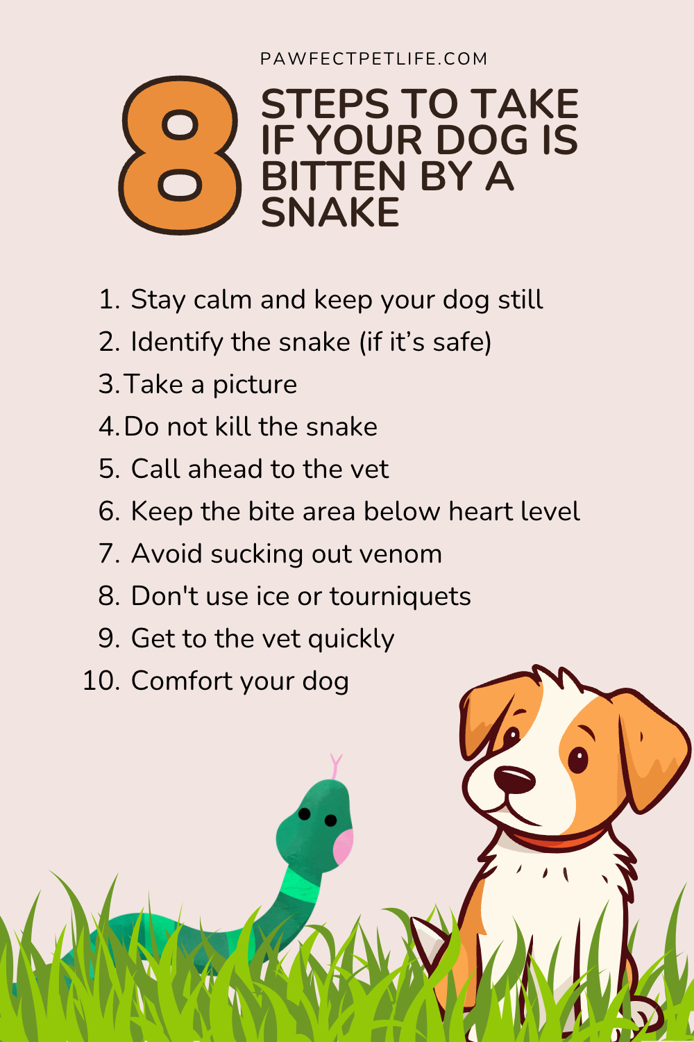 Do you know the signs of a snakebite in dogs? Some might surprise you! Learn what to do in an emergency and how to create a safe space for your dog. 🐕🌳 Click to ensure your pet's safety! 🐶🔒 #DogCare #SnakebiteTips