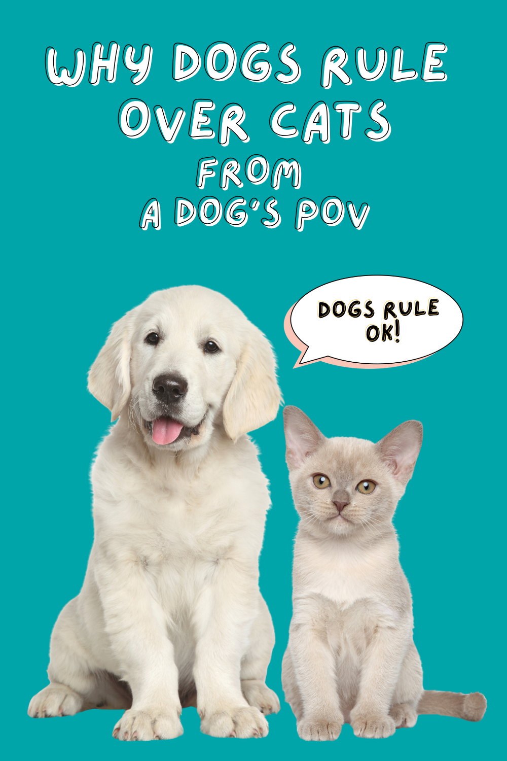 🐶 Get ready to giggle! Here are 10 funny reasons straight from the dogs’ mouths on why they’re better than cats! 🐱❤️ Join the fun and see if you agree! 😆🐾 #DogVsCat #PetComedy #LaughOutLoud
