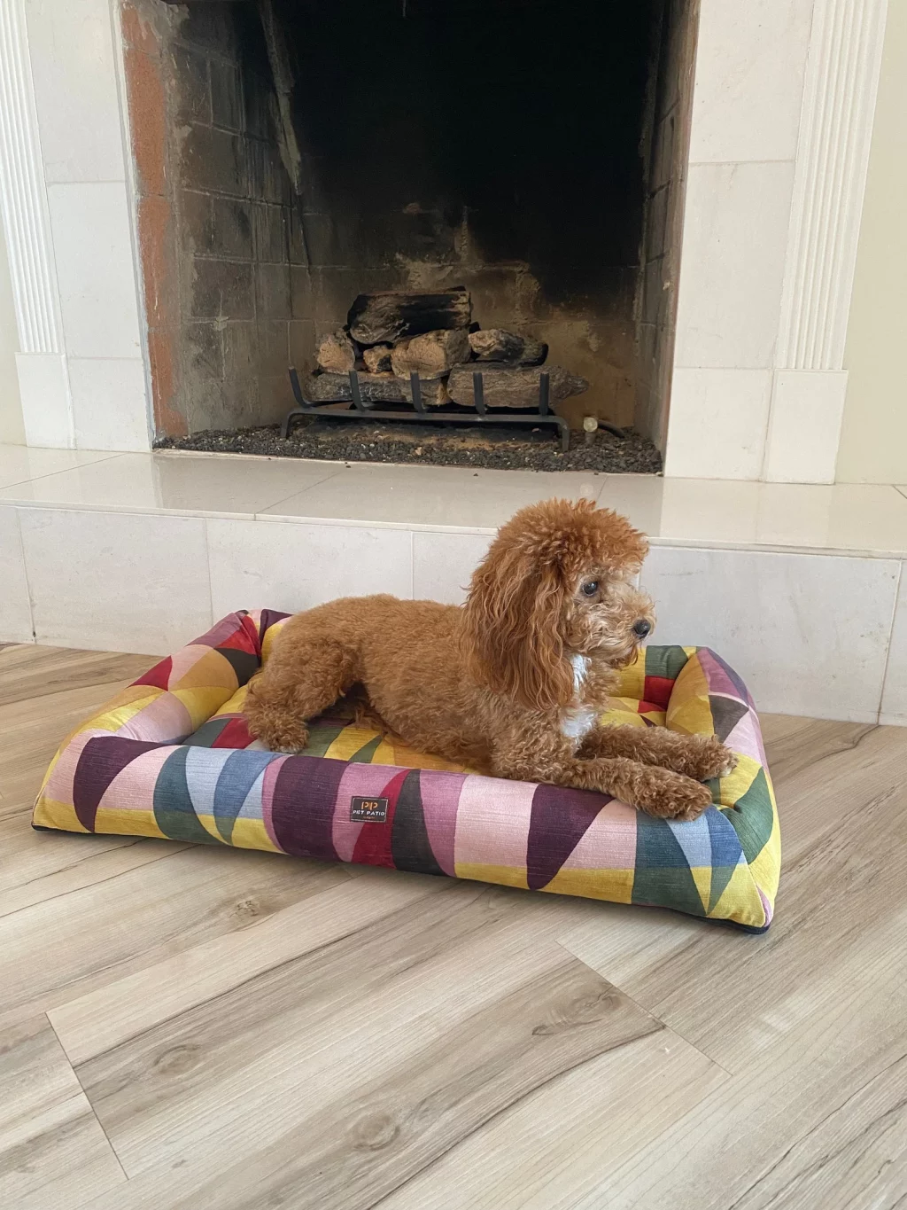 Is your dog always restless at night? 🌙 Give them the gift of perfect sleep with our top-rated dog beds! 🛏️❤️ See the full collection in our new post! 👉