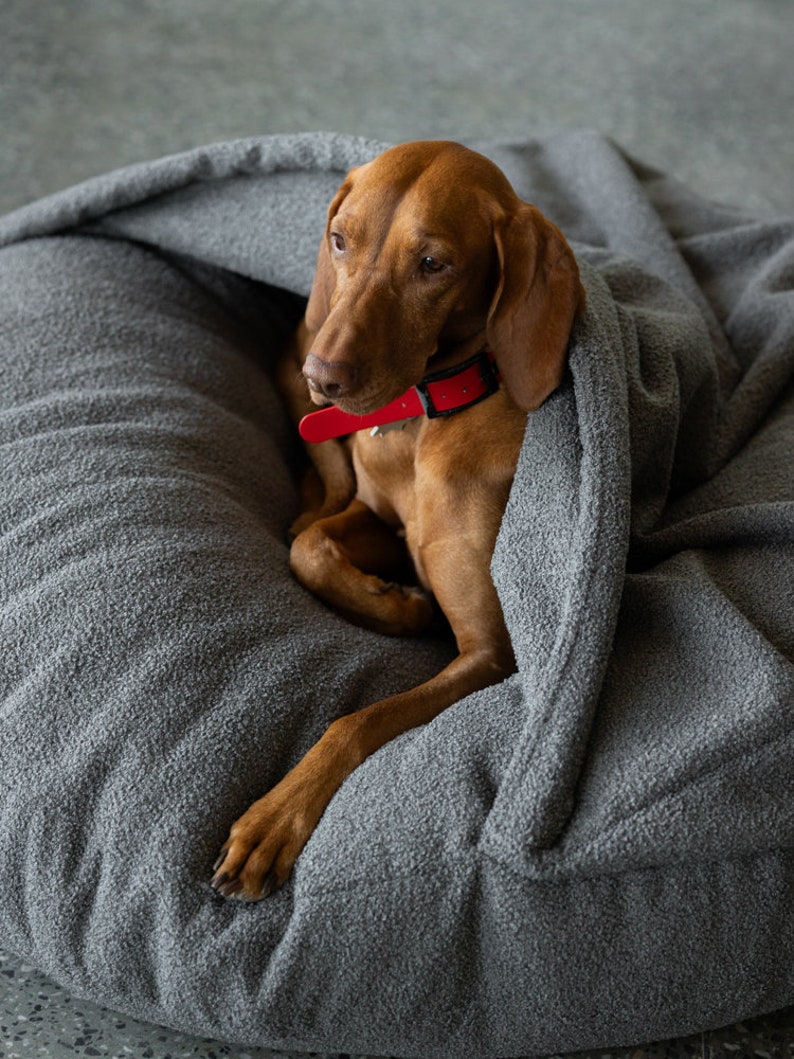 Struggling to find a stylish and comfy bed for your dog? 🐶 We've got you covered with the best dog beds, including ones you can personalize! 🎨🛌 Read more in our latest post! 👉